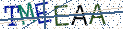 Type the letters shown in the picture