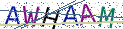 Type the letters shown in the picture