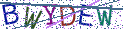 Type the letters shown in the picture