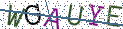 Type the letters shown in the picture