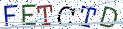 Type the letters shown in the picture