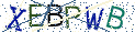 Type the letters shown in the picture