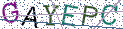 Type the letters shown in the picture
