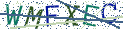 Type the letters shown in the picture
