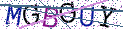 Type the letters shown in the picture