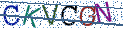 Type the letters shown in the picture