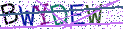 Type the letters shown in the picture