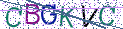 Type the letters shown in the picture