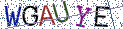 Type the letters shown in the picture