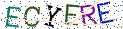 Type the letters shown in the picture