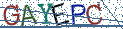 Type the letters shown in the picture