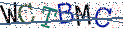 Type the letters shown in the picture