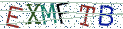 Type the letters shown in the picture