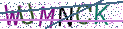 Type the letters shown in the picture