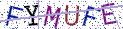 Type the letters shown in the picture