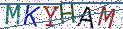 Type the letters shown in the picture