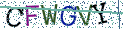 Type the letters shown in the picture