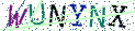 Type the letters shown in the picture