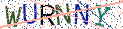 Type the letters shown in the picture