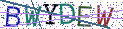 Type the letters shown in the picture