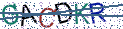 Type the letters shown in the picture