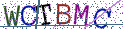 Type the letters shown in the picture