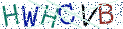 Type the letters shown in the picture