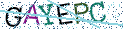 Type the letters shown in the picture