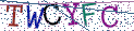 Type the letters shown in the picture
