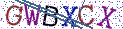 Type the letters shown in the picture