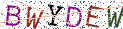 Type the letters shown in the picture