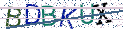 Type the letters shown in the picture