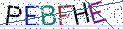 Type the letters shown in the picture