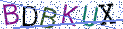 Type the letters shown in the picture