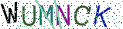 Type the letters shown in the picture