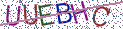 Type the letters shown in the picture