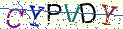Type the letters shown in the picture