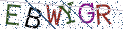 Type the letters shown in the picture
