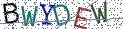 Type the letters shown in the picture