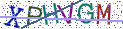 Type the letters shown in the picture