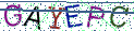 Type the letters shown in the picture