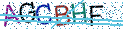 Type the letters shown in the picture