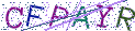Type the letters shown in the picture