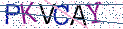 Type the letters shown in the picture