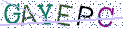 Type the letters shown in the picture
