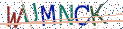 Type the letters shown in the picture