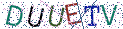Type the letters shown in the picture