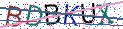 Type the letters shown in the picture