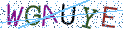 Type the letters shown in the picture