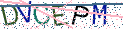 Type the letters shown in the picture